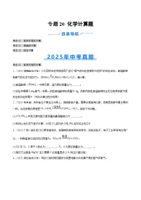 2025年中考化学真题分类汇编：专题20 化学计算题（全国通用）（第02期）（原卷版）