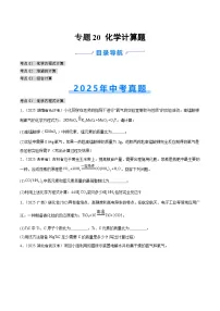 2025年中考化学真题分类汇编：专题20 化学计算题（全国通用）（第02期）（原卷版）