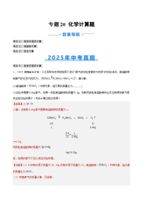 2025年中考化学真题分类汇编：专题20 化学计算题（全国通用）（第02期）（解析版）