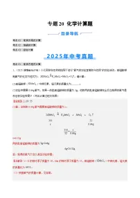 2025年中考化学真题分类汇编：专题20 化学计算题（全国通用）（第02期）（解析版）