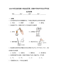 2025年河北省张家口市宣化区第二实验中学初中学业水平考试化学试卷（附答案解析）