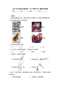 2025年吉林省长春市第一〇八学校中考三模化学试题（附答案解析）