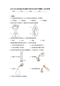 2025年江苏省南京市金陵中学河西分校中考模拟三化学试卷（附答案解析）