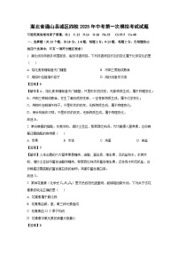 湖北省通山县城区四校2025年中考第一次模拟考试化学试卷（解析版）