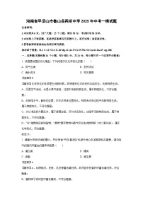 河南省平顶山市鲁山县两所中学2025年中考一模化学试卷（解析版）
