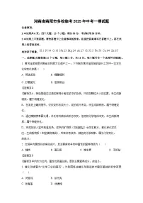 河南省南阳市多校临考2025年中考一模化学试卷（解析版）