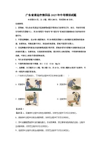 广东省清远市佛冈县2025年中考模拟化学试卷（解析版）