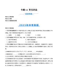 专题14 常见的盐（全国通用）（第01期）（含答案）【好题汇编】2025年中考化学真题分类汇编（全国通用）