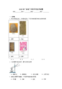 2025年广东省广州市中考化学试题（附答案解析）