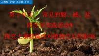 初中化学人教版（2024）九年级下册（2024）探究土壤酸碱性对植物生长的影响优质ppt课件