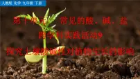 初中化学人教版（2024）九年级下册（2024）探究土壤酸碱性对植物生长的影响优质ppt课件