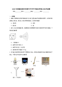 2025年福建省福州市现代中学中考适应性练习化学试题（附答案解析）