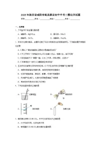 2025年陕西省咸阳市乾县薛录初中中考三模化学试题（附答案解析）