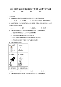 2025年陕西省咸阳市乾县注泔初中中考第七次模考化学试题（附答案解析）