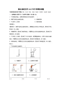 湖北省武汉市2025年中考模拟化学试题（解析版）
