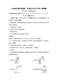 山东省东营市东营区、开发区2025年中考一模化学试题（解析版）