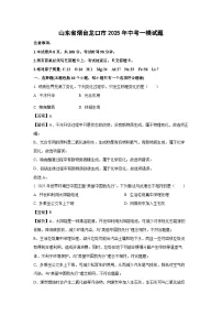 山东省烟台龙口市2025年中考一模化学试题（解析版）