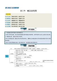 鲁教版（五四学制）（2024）第二节 碱及其性质优质导学案