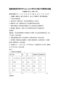 湖南省衡阳市常宁市2024-2025学年九年级下学期期末化学试题（解析版）