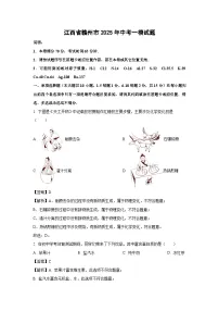 江西省赣州市2025年中考一模化学试题（解析版）