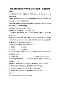 湖南省郴州市2025年初中学业水平考试第一次监测化学试题（解析版）