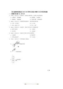 2024～2025学年四川省绵阳市游仙区九年级上10月月考化学试卷