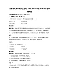 甘肃省武威市凉州区金塔、和平九年制学校2025年中考一模化学试题（解析版）