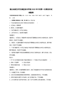 湖北省武汉市汉南区部分学校2025年中考第一次模拟考试卷化学试题（解析版）