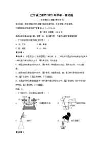辽宁省辽阳市2025年中考一模化学试题（解析版）