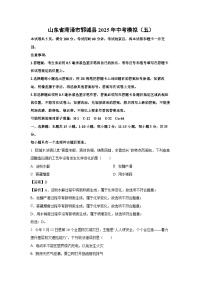 山东省菏泽市郓城县2025年中考模拟（五）化学试题（解析版）