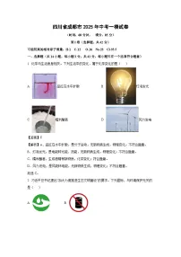 四川省成都市2025年中考一模化学试题（解析版）