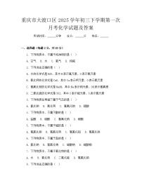 重庆市大渡口区2025学年初三下学期第一次月考化学试题及答案