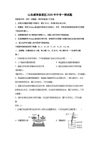 山东威海临港区2025年中考一模试题化学试卷（解析版）