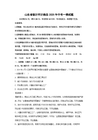 山东省临沂市沂南县2025年中考一模试题化学试卷（解析版）