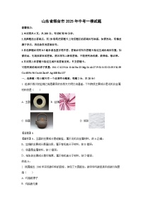 山东省烟台市2025年中考一模试题化学试卷（解析版）