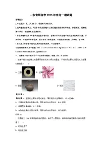山东省烟台市2025年中考一模试题化学试卷（解析版）