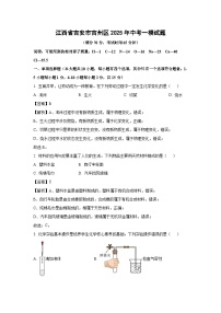 江西省吉安市吉州区2025年中考一模试题化学试卷（解析版）