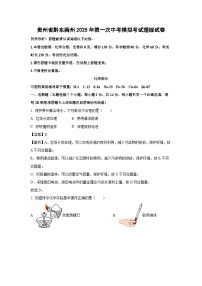 贵州省黔东南州2025年第一次中考模拟考试理综试卷化学试卷（解析版）