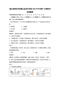 湖北省黄石市西塞山区部分学校2025年中考第一次模拟考试试题卷 化学试卷（解析版）