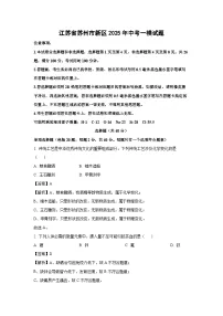 江苏省苏州市新区2025年中考一模化学试题（解析版）