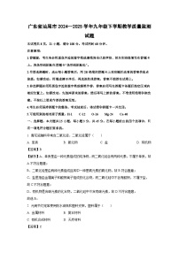 广东省汕尾市2024--2025学年九年级下学期教学质量监测试题化学试卷（解析版）