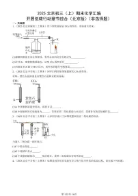 2025北京初三(上)期末化学汇编:开展低碳行动章节综合(北京版)(非选择题) 有答案解析