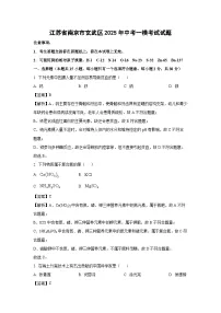 江苏省南京市玄武区2025年中考一模考试化学试题（解析版）