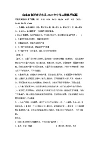 山东省临沂市沂水县2025年中考二模化学试题（解析版）