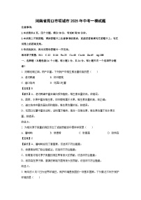 河南省周口市项城市2025年中考一模化学试题（解析版）