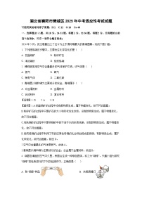 湖北省襄阳市樊城区2025年中考适应性考试化学试题（解析版）