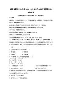 湖南省郴州市永兴县2024-2025学年九年级下学期第二次质检化学试题（解析版）