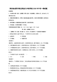 陕西省咸阳市乾县吴店九年制学校2025年中考一模化学试题（解析版）