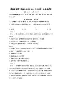 陕西省咸阳市乾县注泔初中2025年中考第一次模考化学试题（解析版）