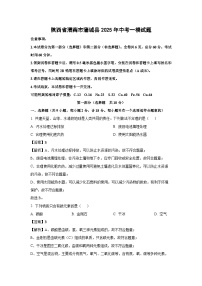 陕西省渭南市蒲城县2025年中考一模化学试题（解析版）